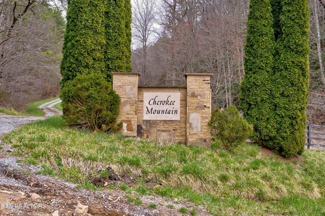 Lot 41 Black Maple Way - Photo 1