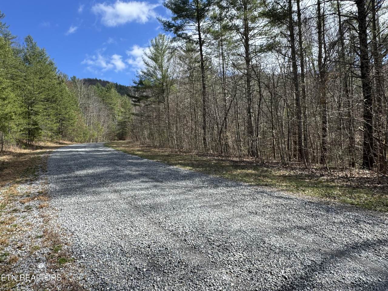  Cougar Trail 10.1 - Photo 1