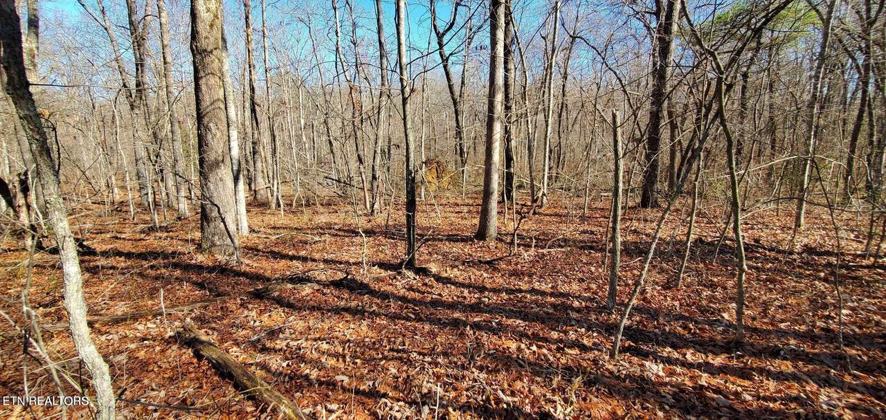 11 Rhonda Rd - Photo 1