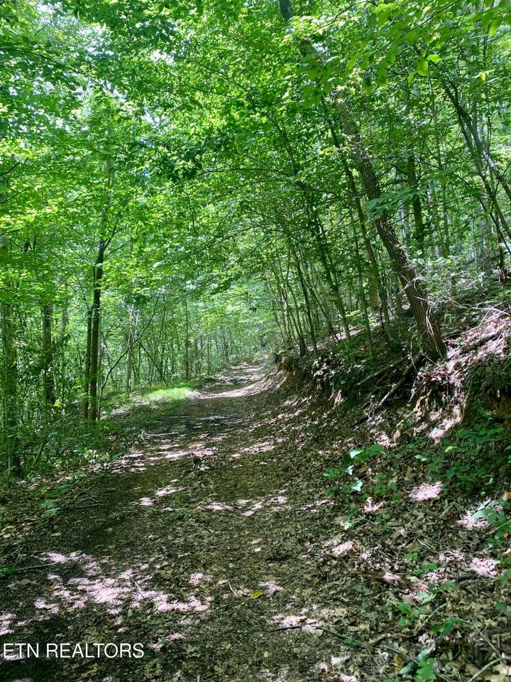  River Ridge Road Tract 3 - Photo 1