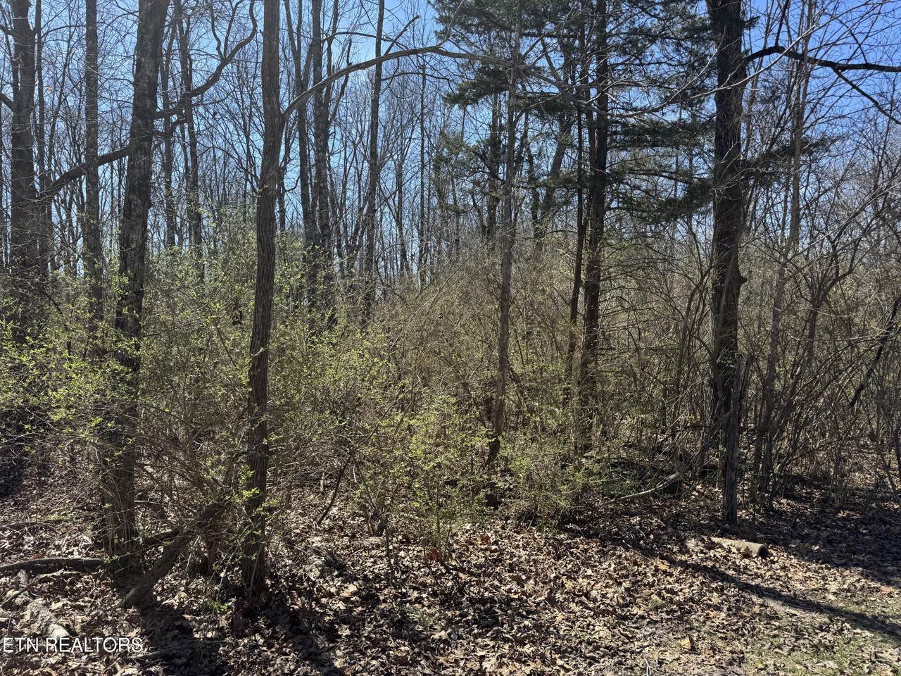 0 Tenth/Knight - Photo 1