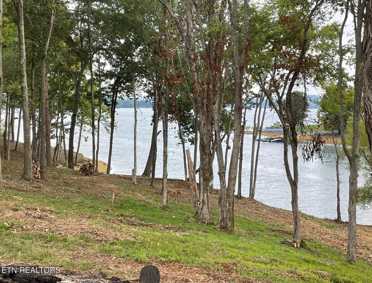 Lot 39 English Mountain Point - Photo 1