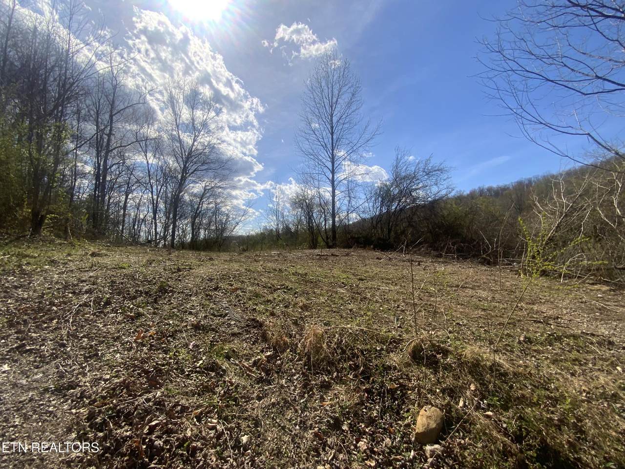 299 Haney Hollow Rd - Photo 1