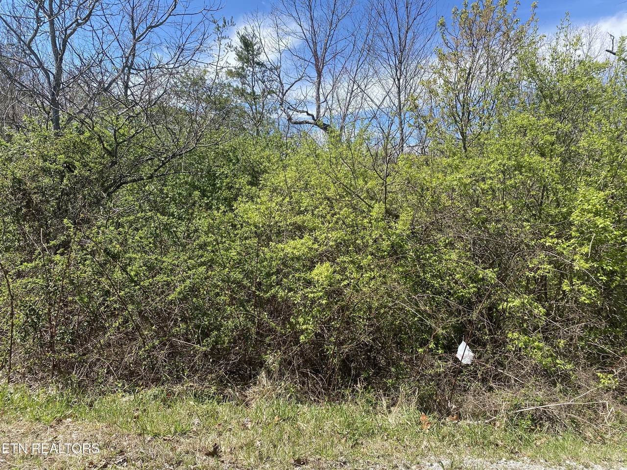 LOT #6 Hwy 127 N - Photo 1