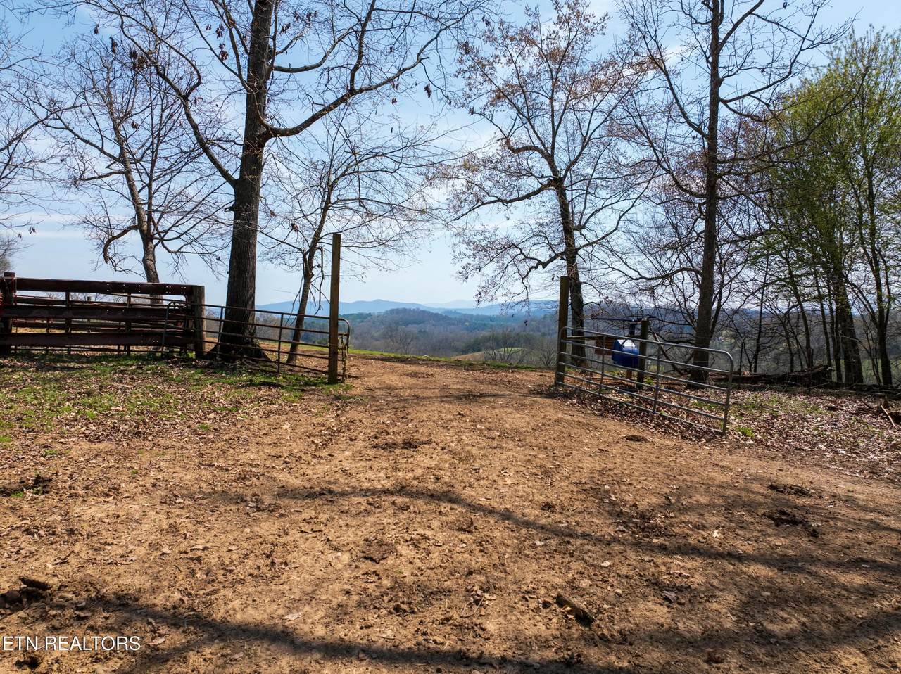 Lot 2 Trigonia Rd - Photo 1