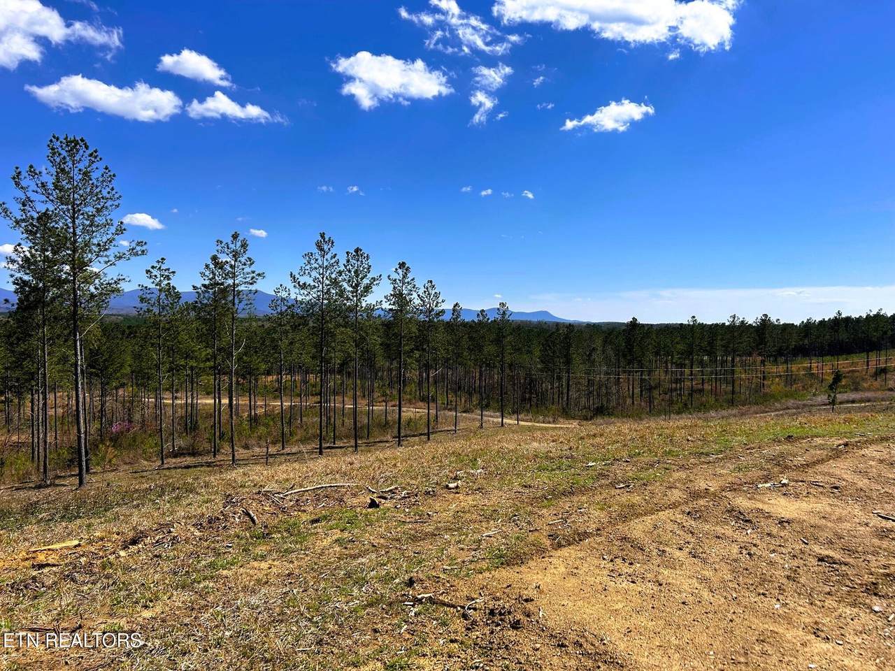 Tract 26A Hughes Lake Road Se - Photo 1