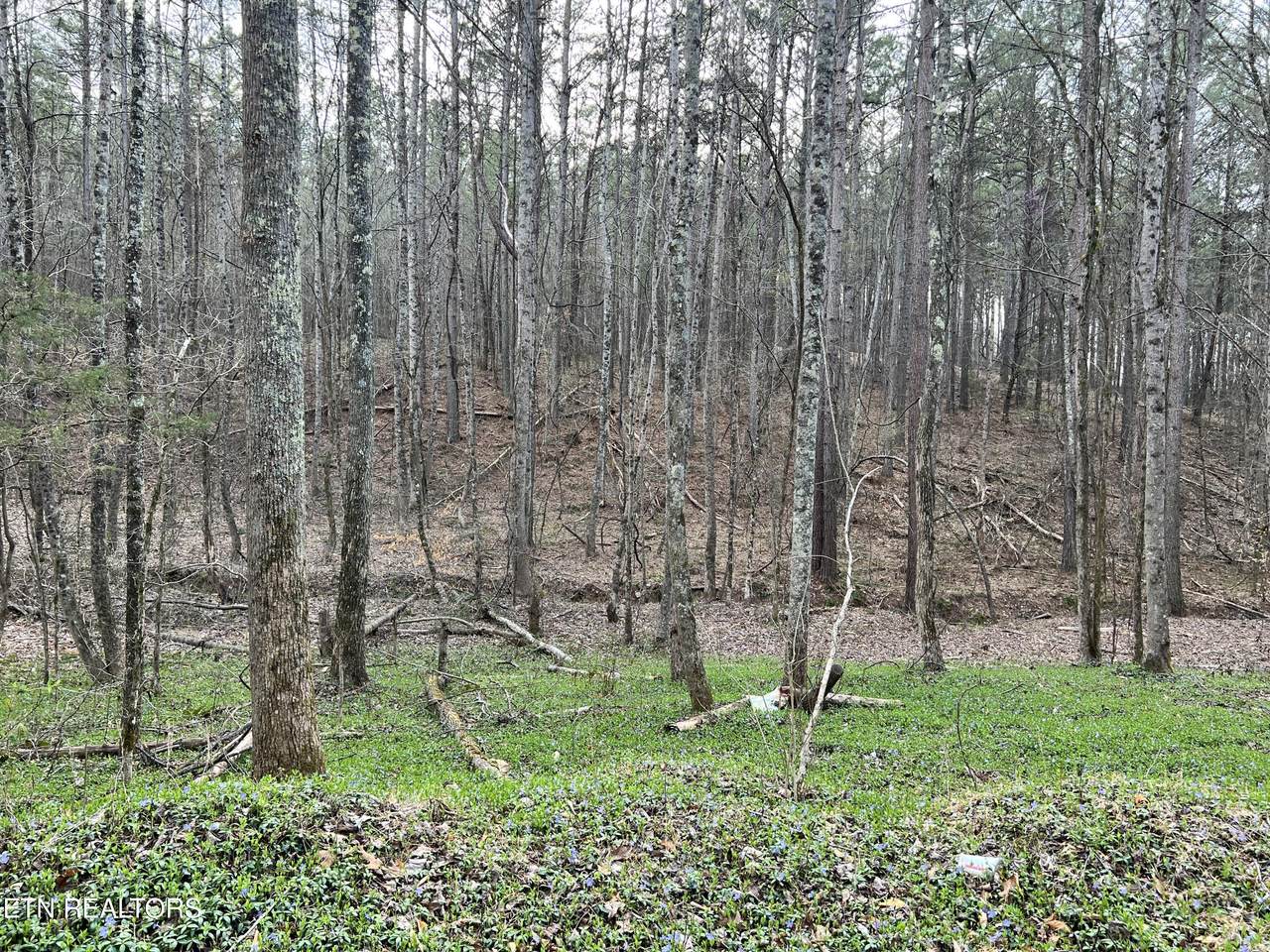  Butler Road Lot 4 - Photo 1
