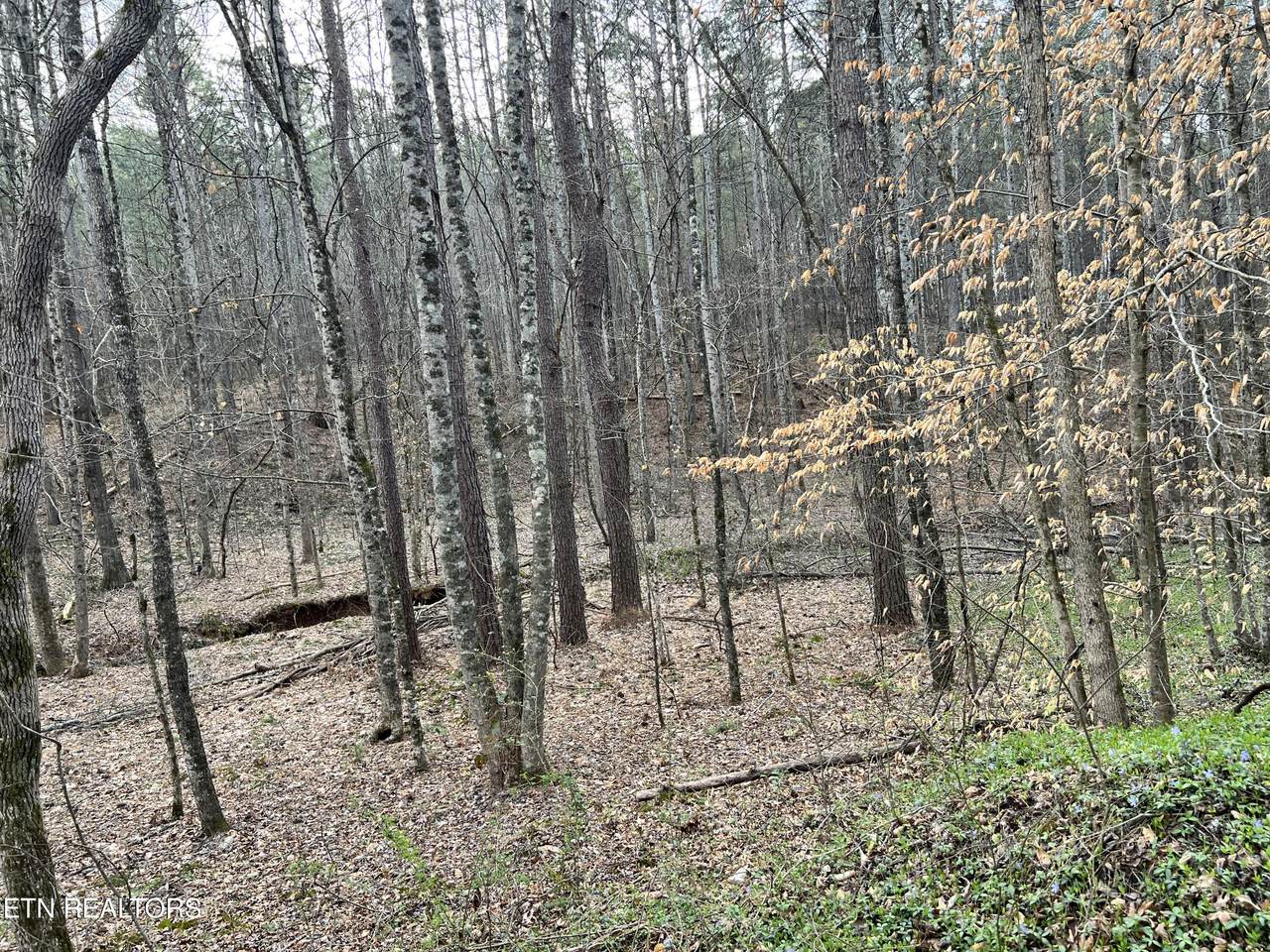 https://bt-photos.global.ssl.fastly.net/kaar/1280_boomver_1_1297257-2.jpg