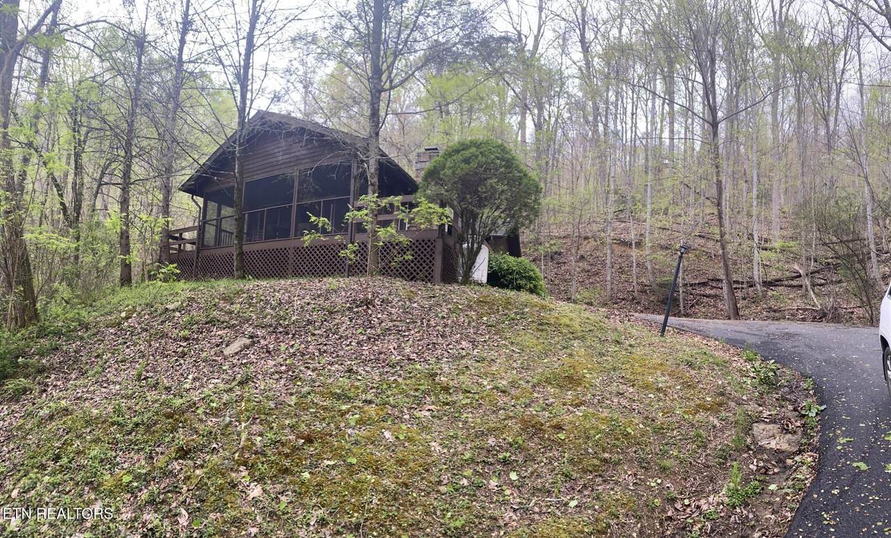 2744 Black Walnut Flats Rd - Photo 1