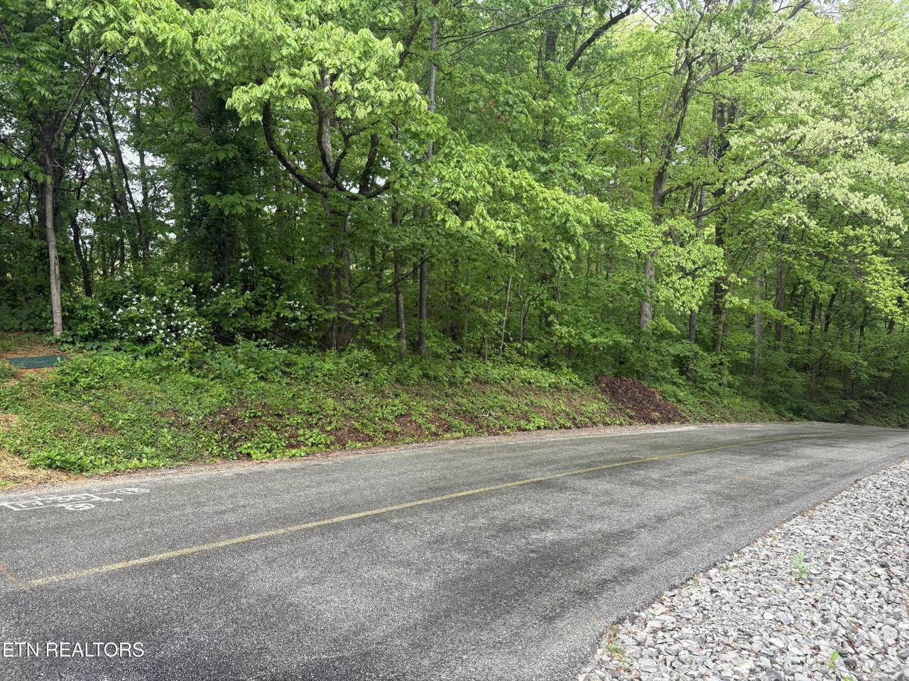159 Amohi Way - Photo 1
