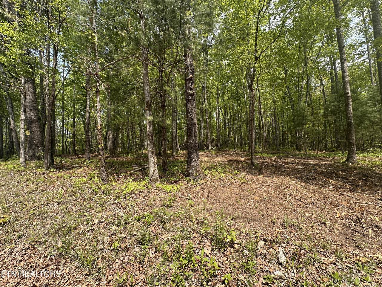 https://bt-photos.global.ssl.fastly.net/kaar/1280_boomver_1_1299874-2.jpg