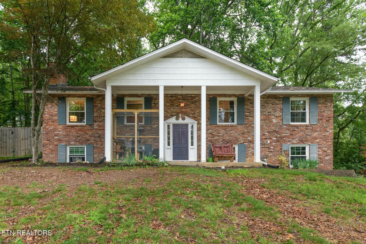 113 Netherlands Rd - Photo 1