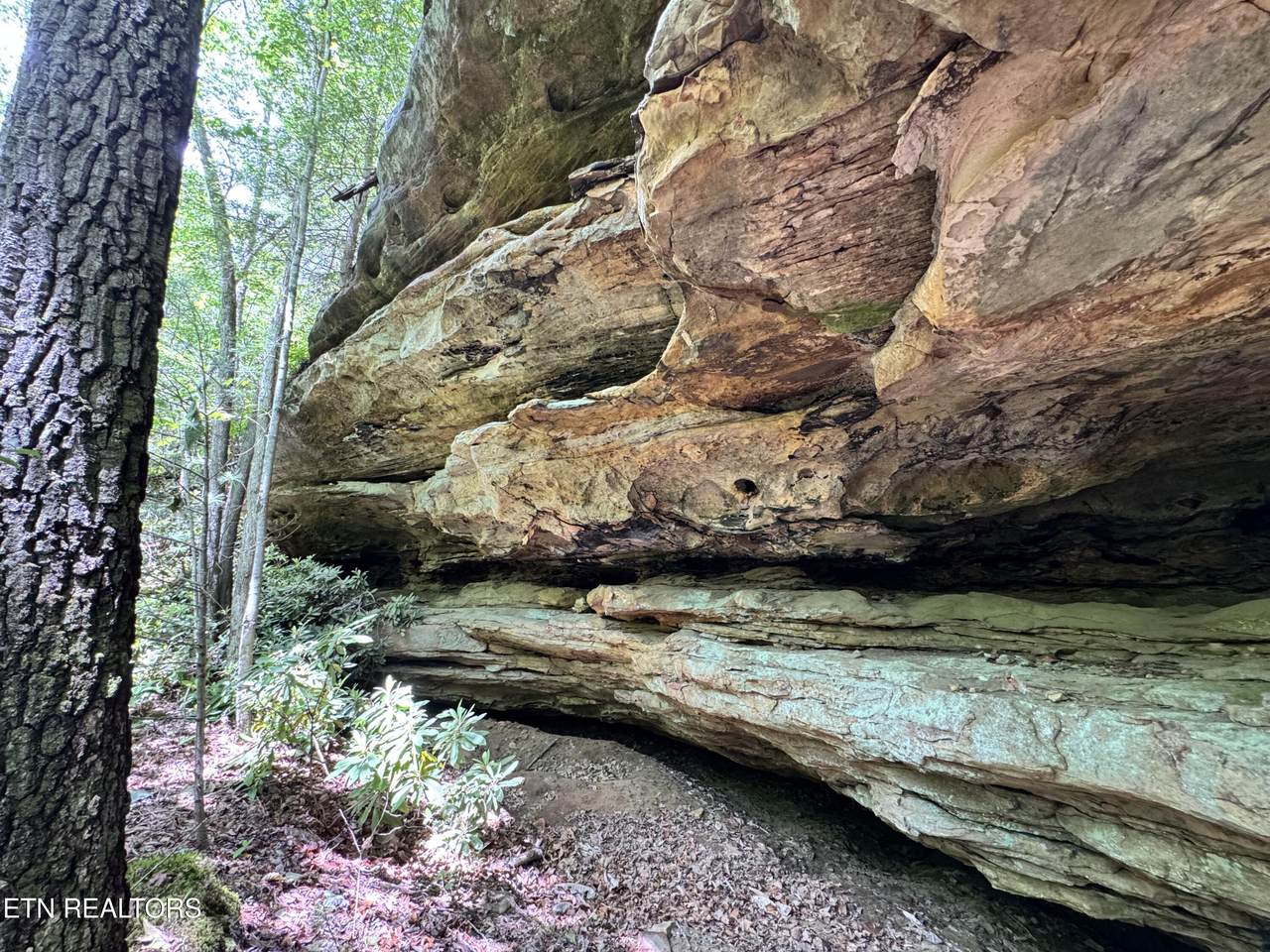Bear Hollow Rd - Photo 1