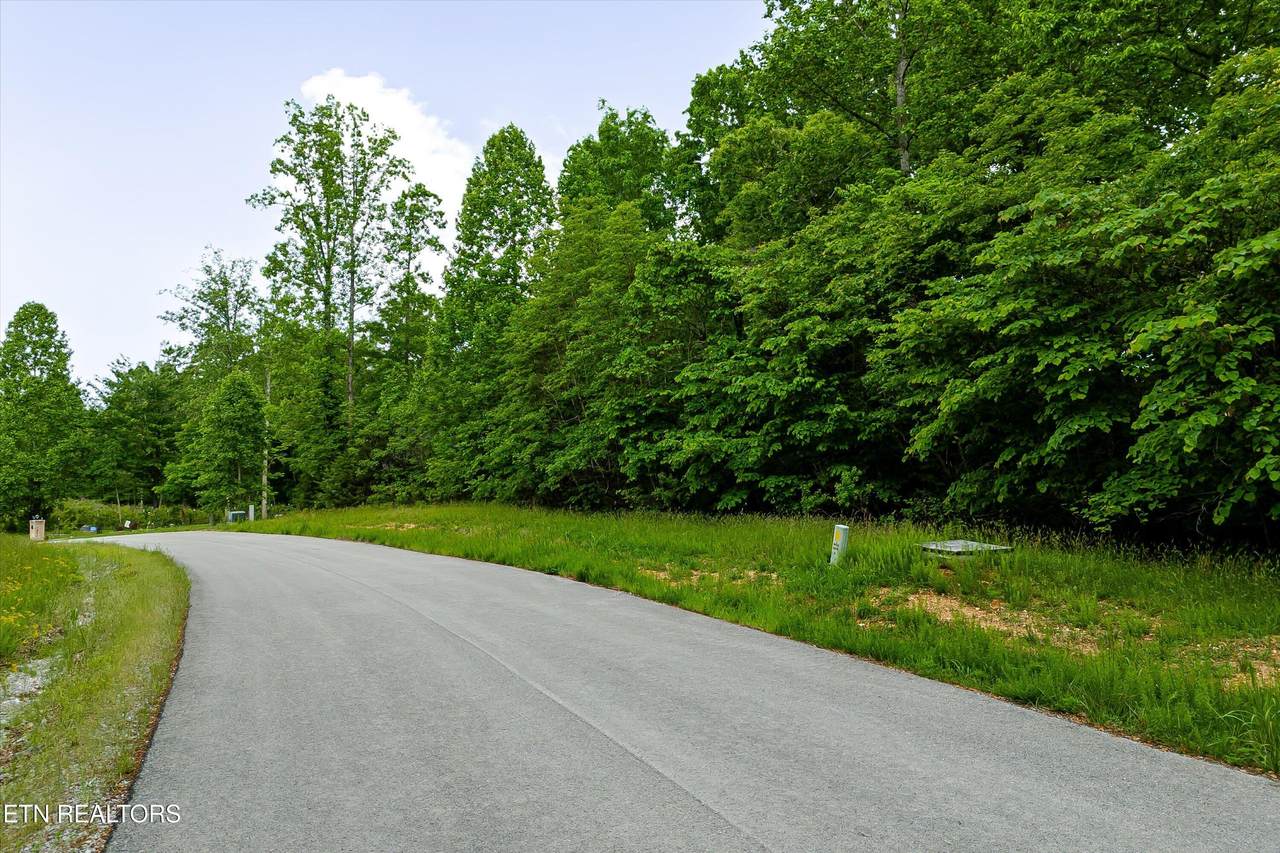 Lot 240 Tanzanite Trail - Photo 1