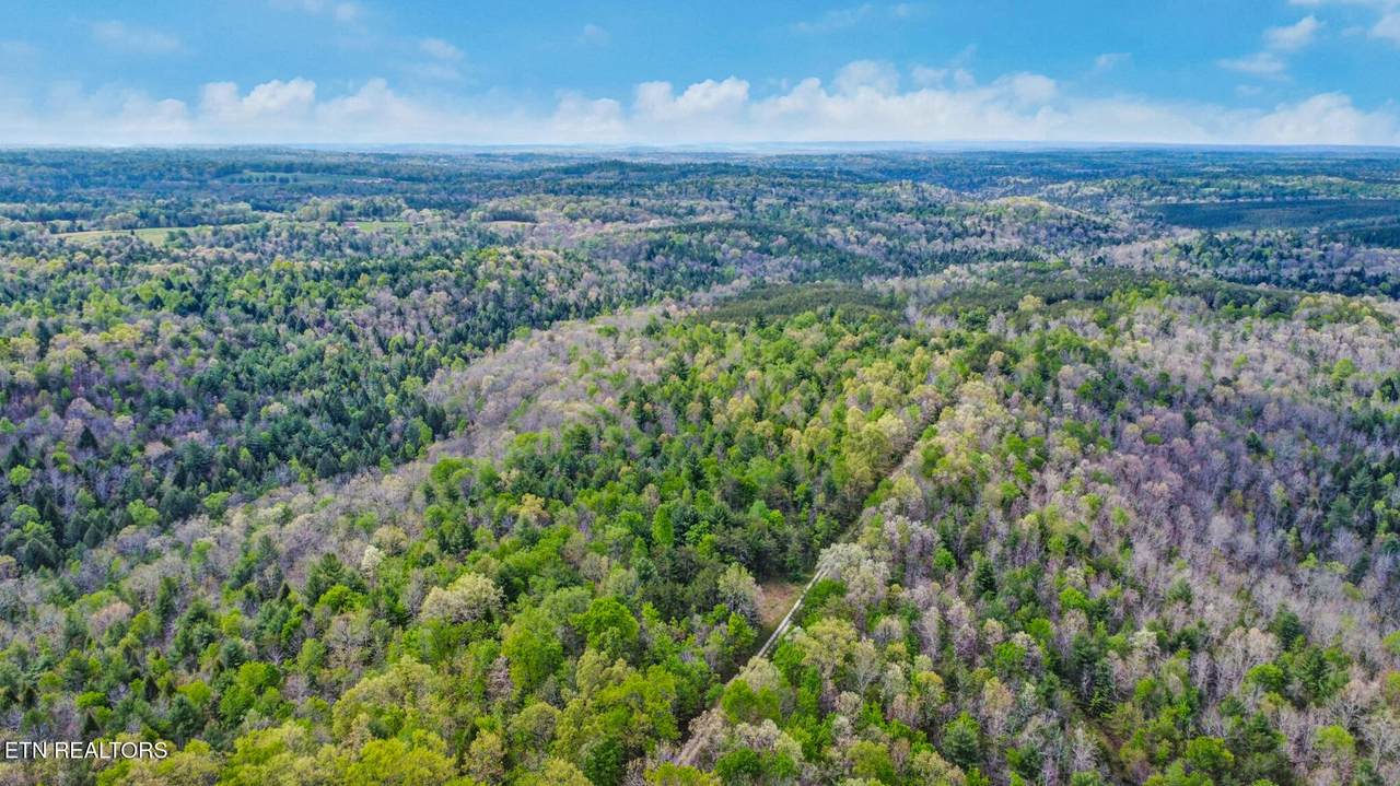 14.78 Old Collins Rd - Photo 1