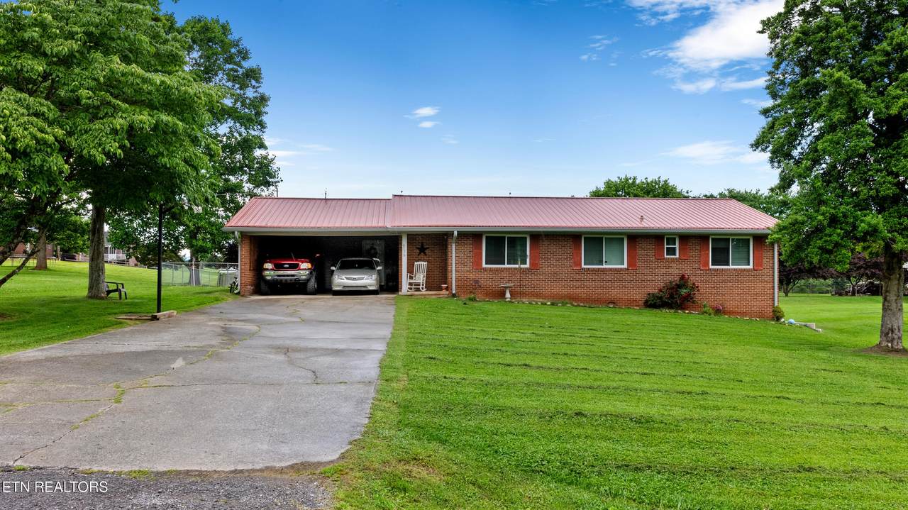 6776 Rex Drive - Photo 1