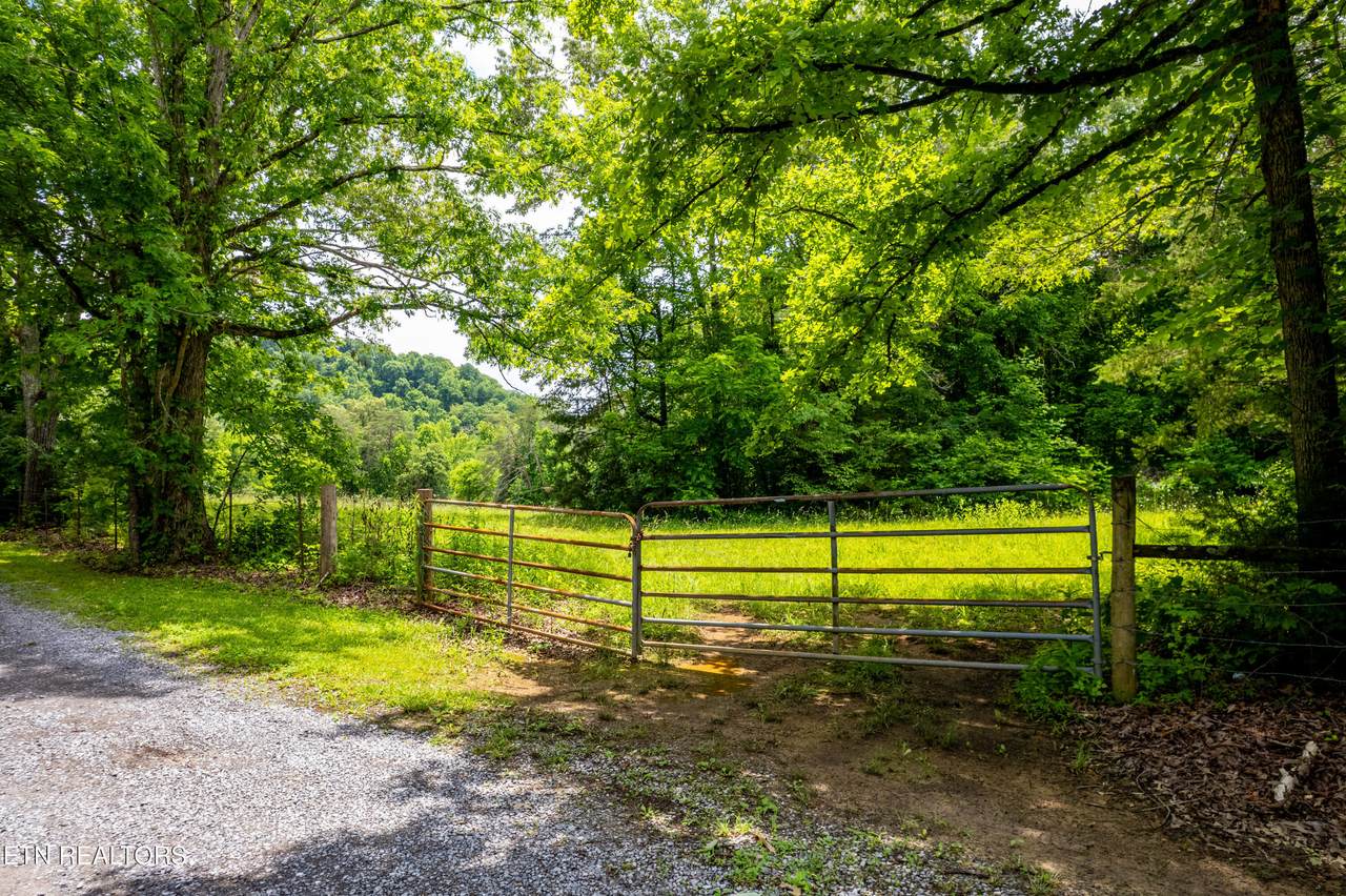 Lot 2 Mullins Way - Photo 1