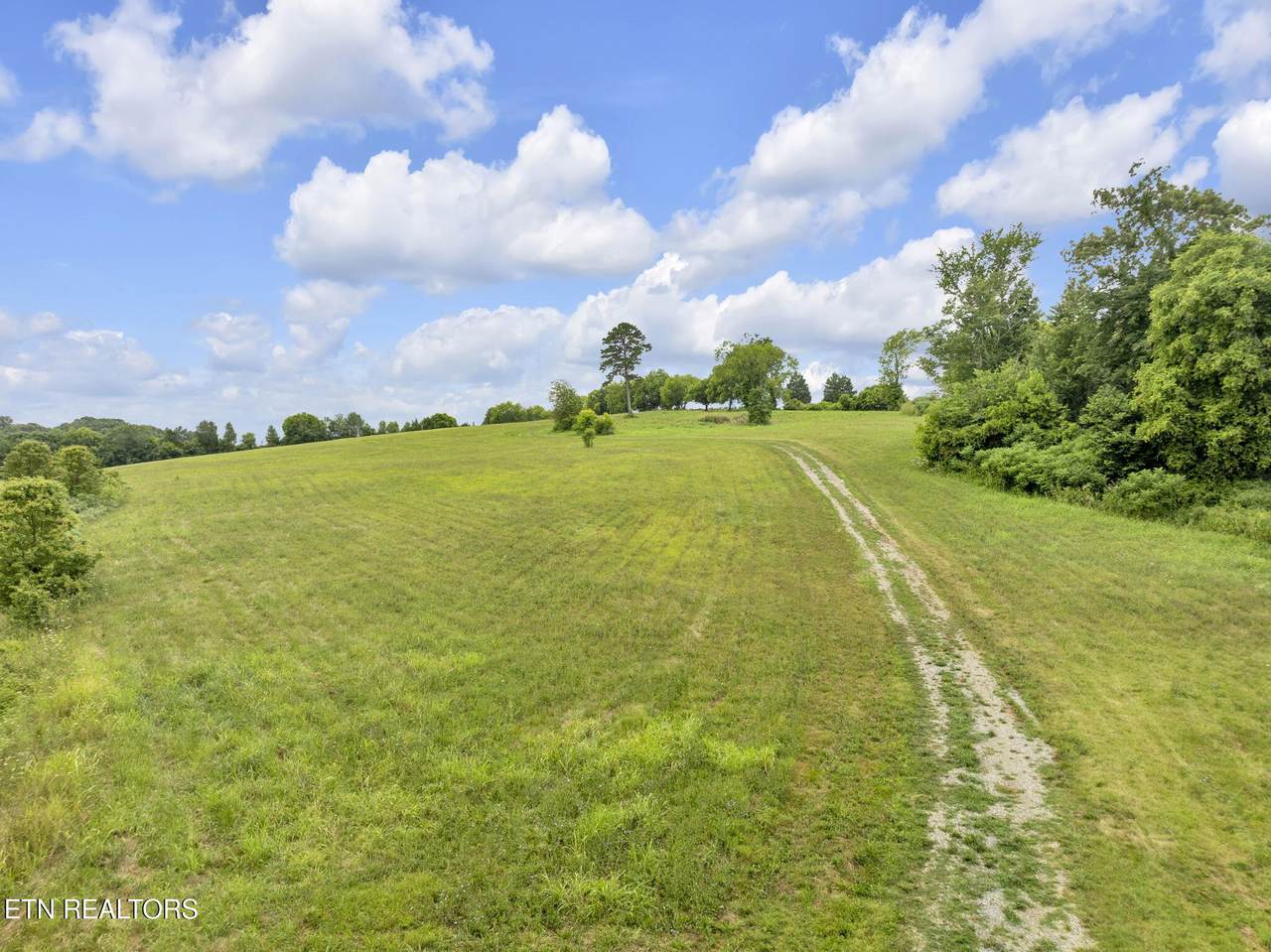 1547 Salem Loop Rd - Photo 1
