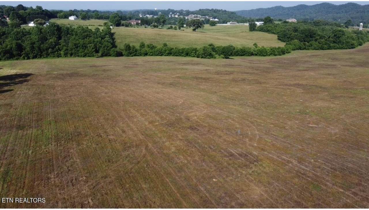 461 Alfred Mccammon Rd Tract 10 - Photo 1