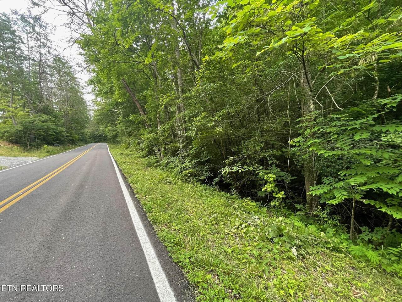 1477 Old Chilhowee Rd - Photo 1