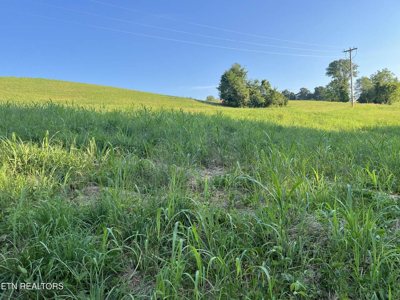 Lot 20 Amonett Circle - Photo 1