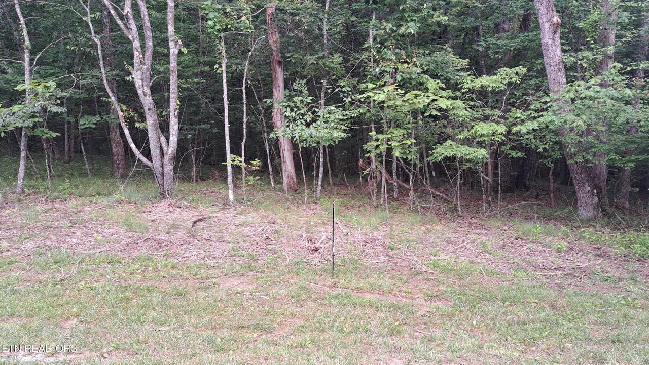 228 Snead Dr Drive - Photo 1