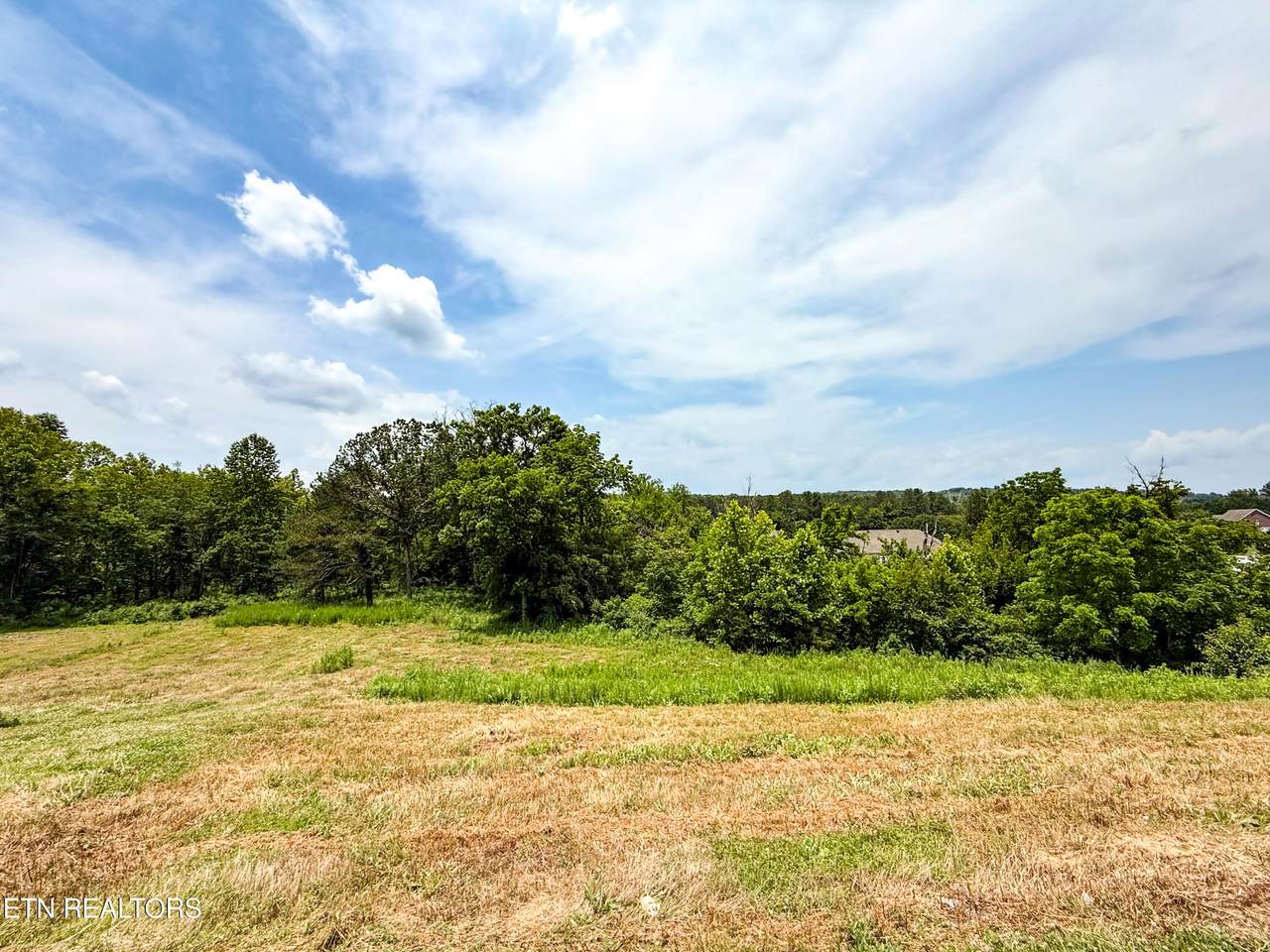 Lot 16 Forest Creek Pkwy - Photo 1