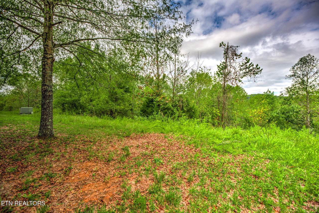 152 Pineberry Rd - Photo 1