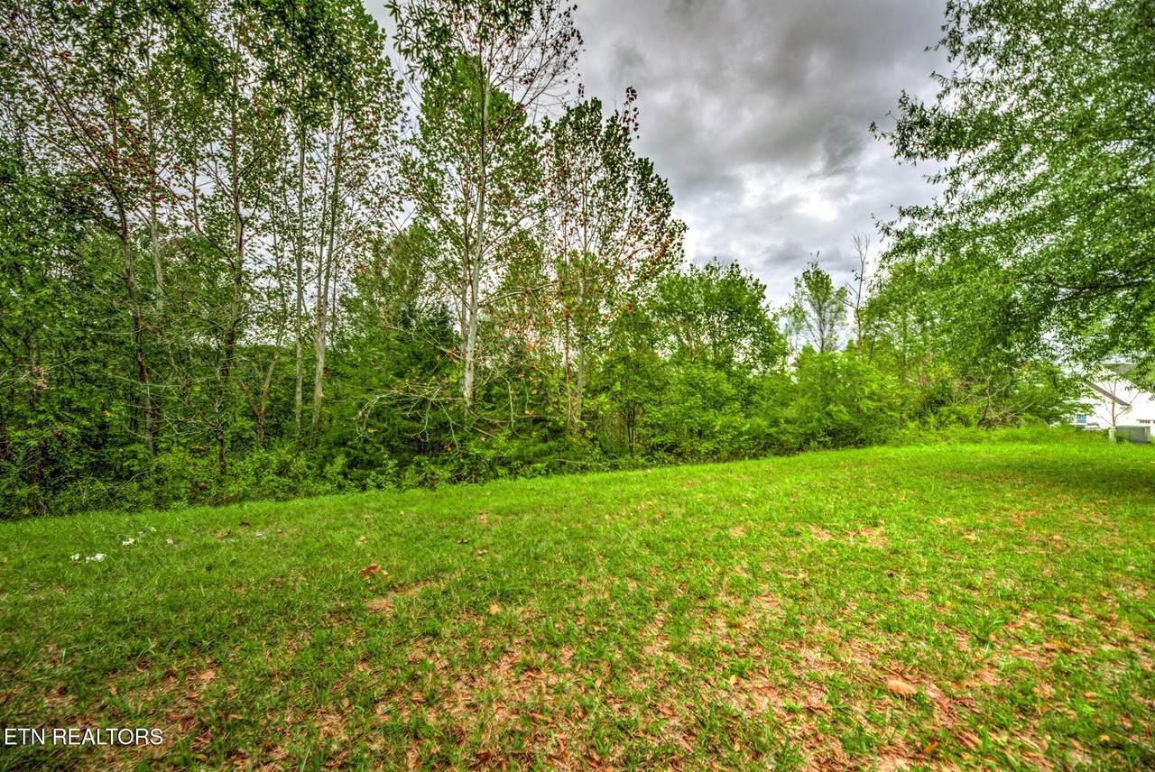 154 Pineberry East Rd - Photo 1