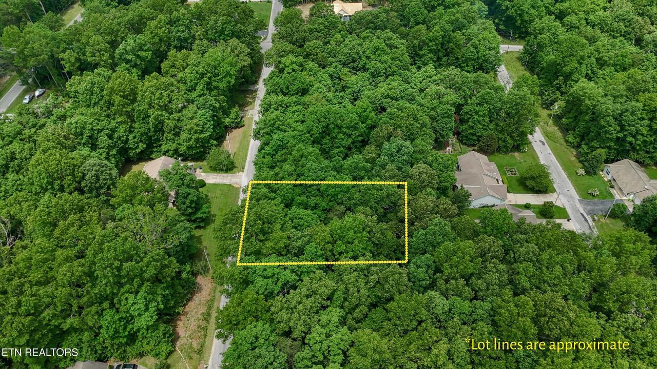2109 Black Wolf Drive - Photo 1