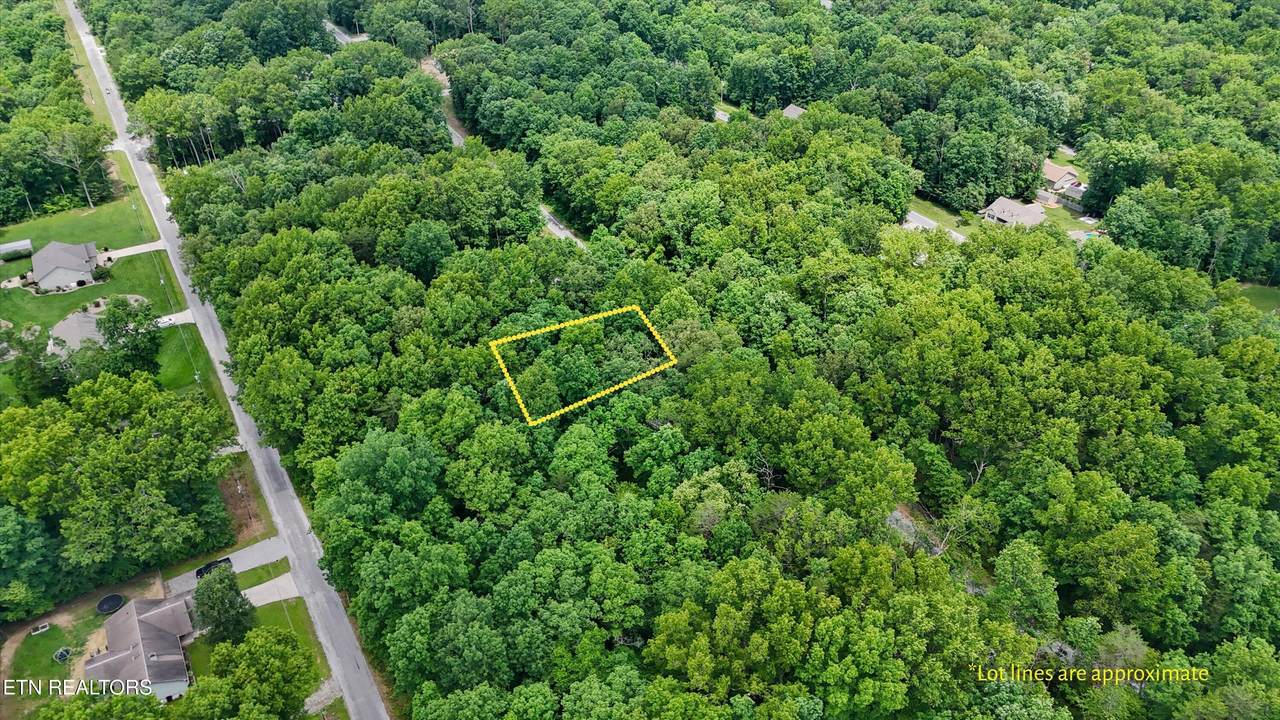 2116 Black Wolf Drive - Photo 1