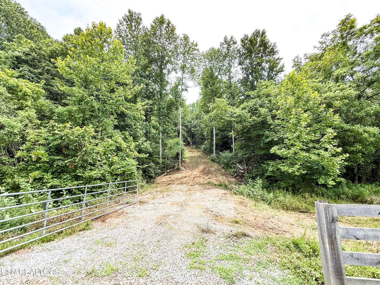 Forest Creek Pkwy - Photo 1