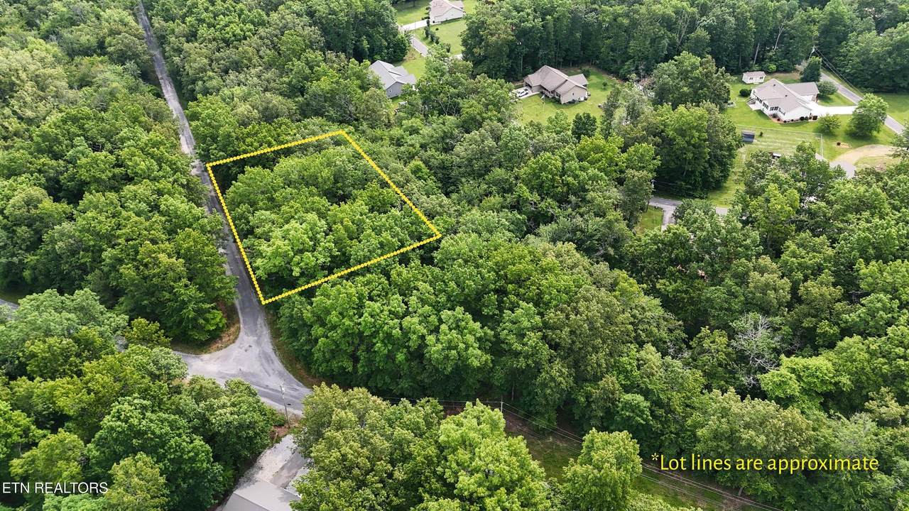 4002/4004 Desoto Drive - Photo 1
