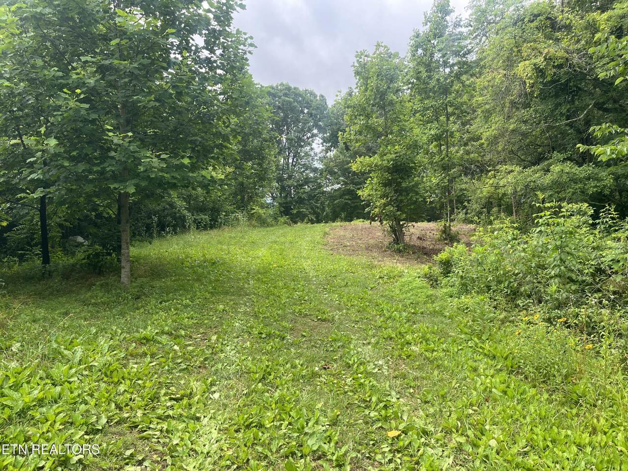 TBD Barker Rd - Photo 1