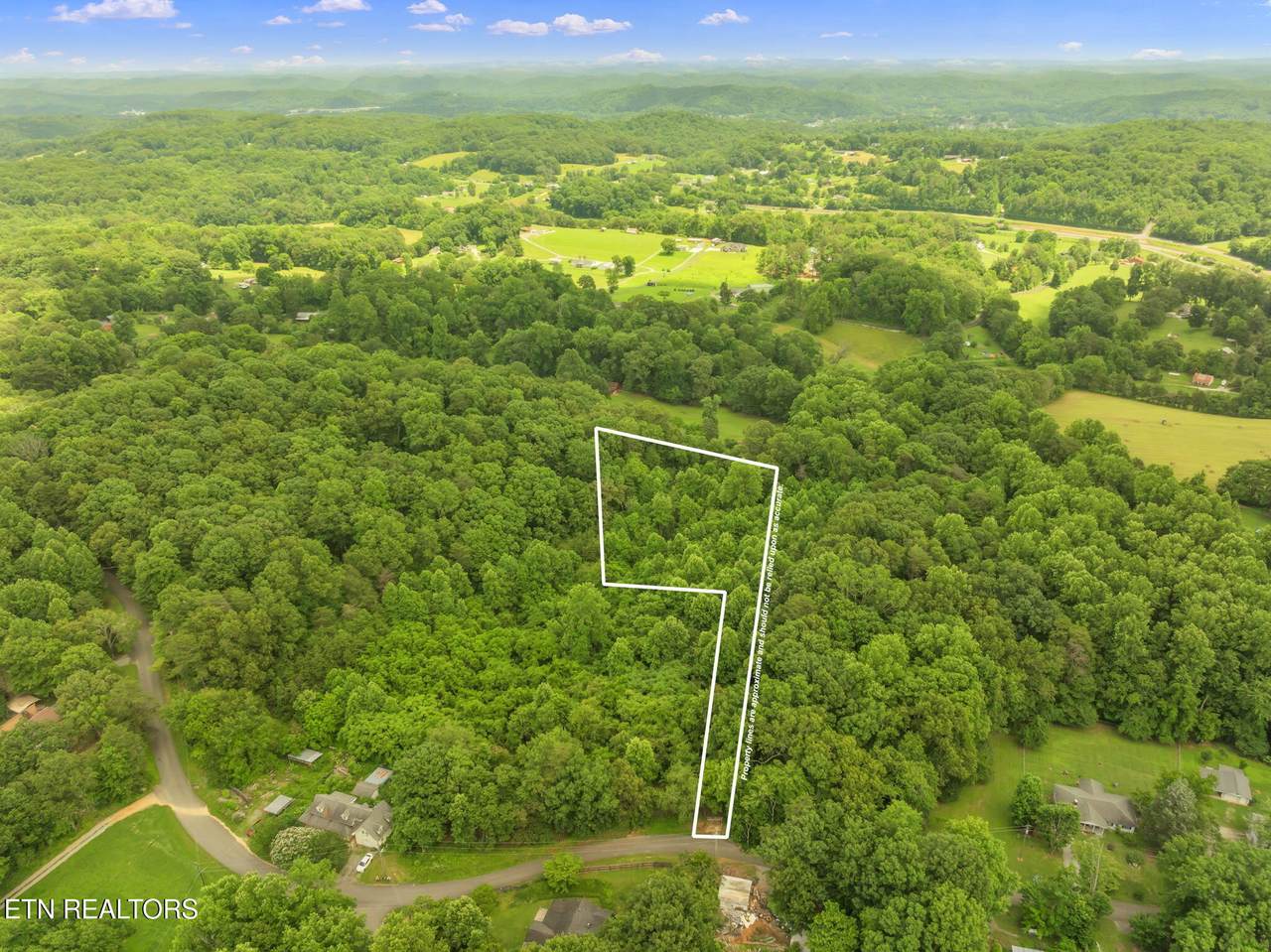 Tract 2 Black Oak Road - Photo 1