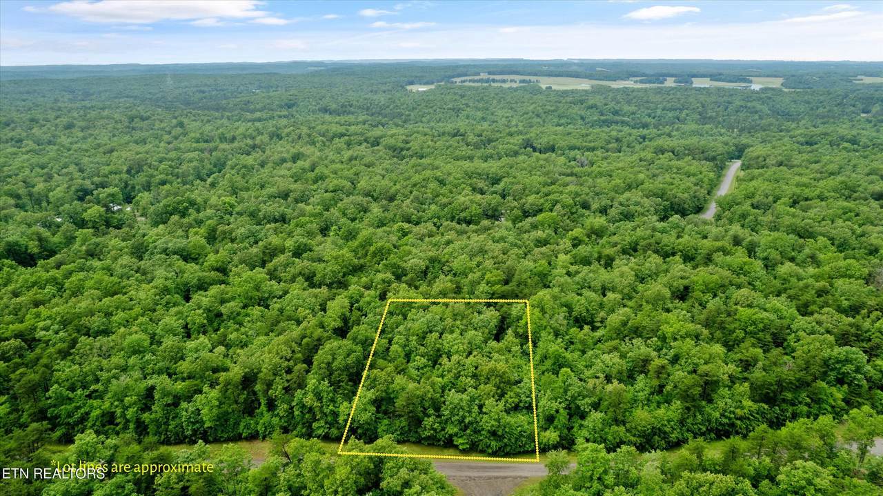1.58 ac Mountain Ash Drive - Photo 1