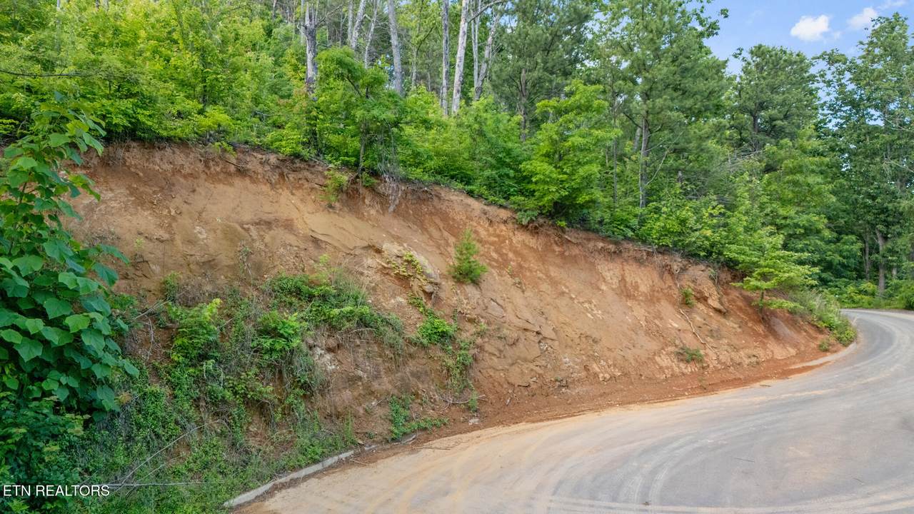 lot 48 Spurling Rd - Photo 1