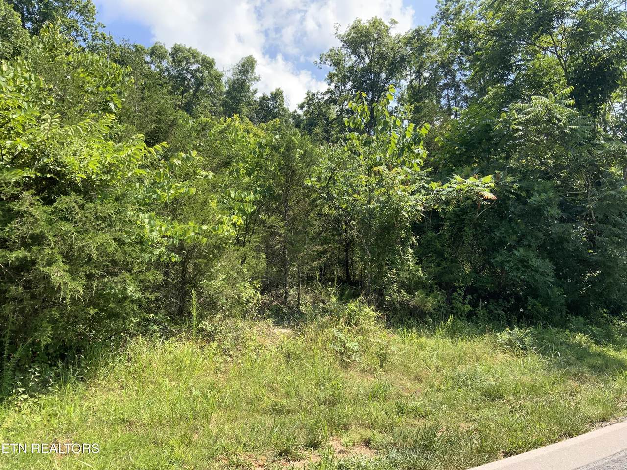 Eagles Ridge - Photo 1