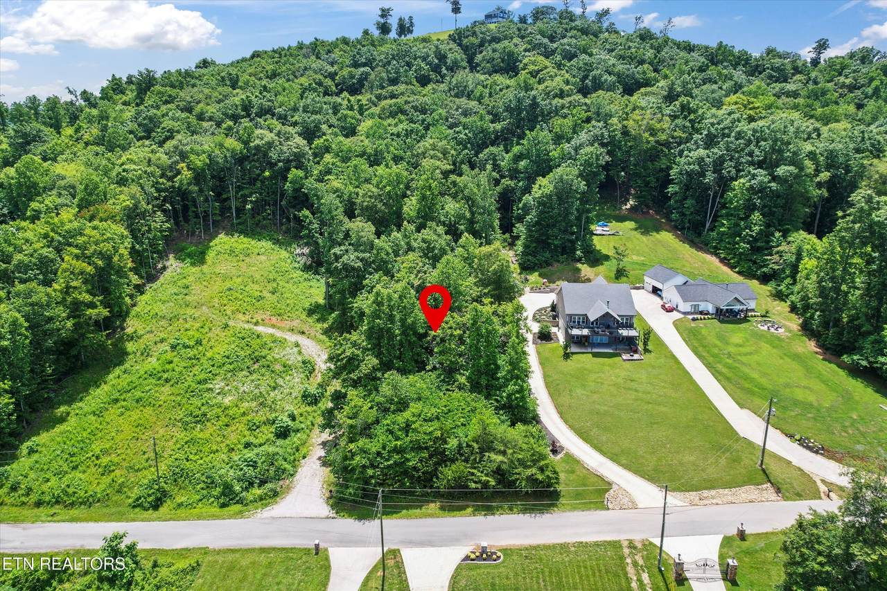 Hickory Pointe Lane - Photo 1