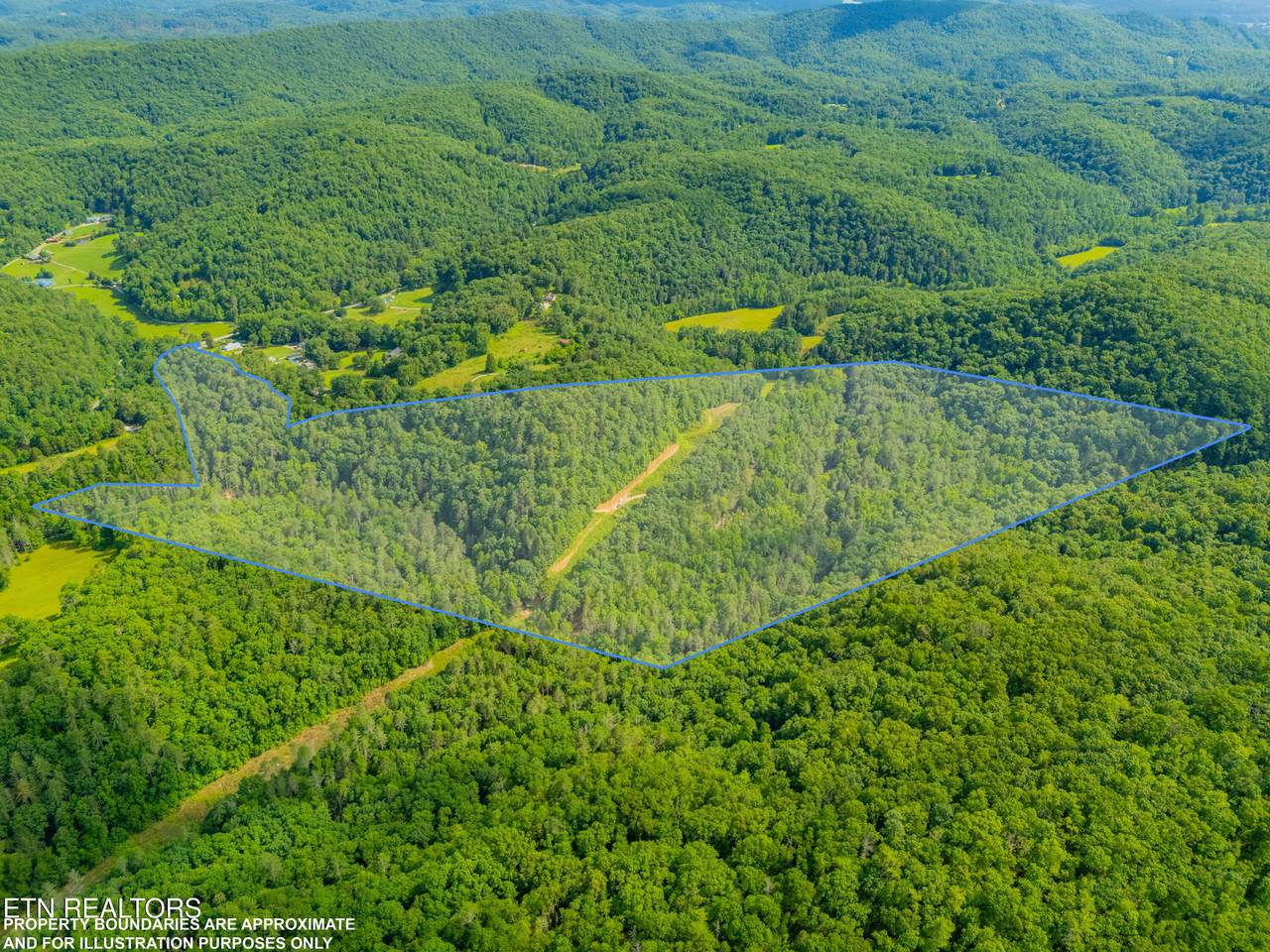 118 Authorn Sheldon Rd - Photo 1