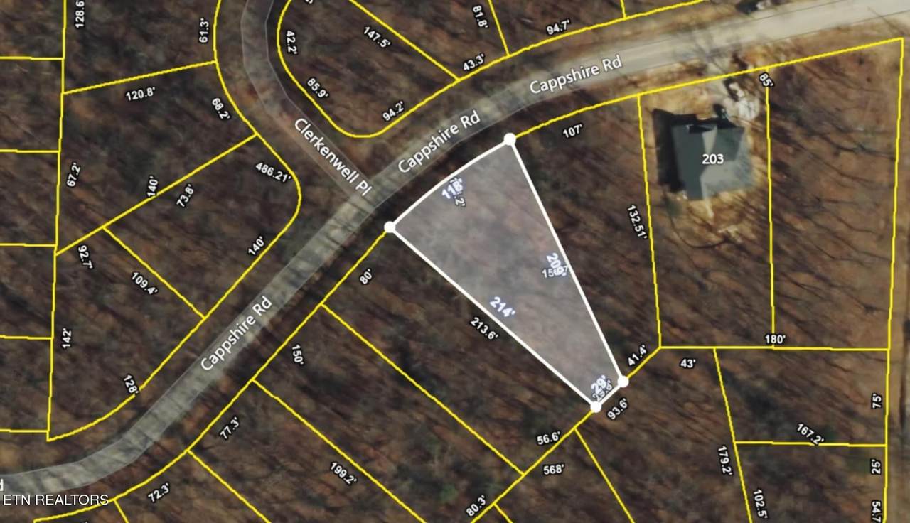 209 Cappshire Rd - Photo 1