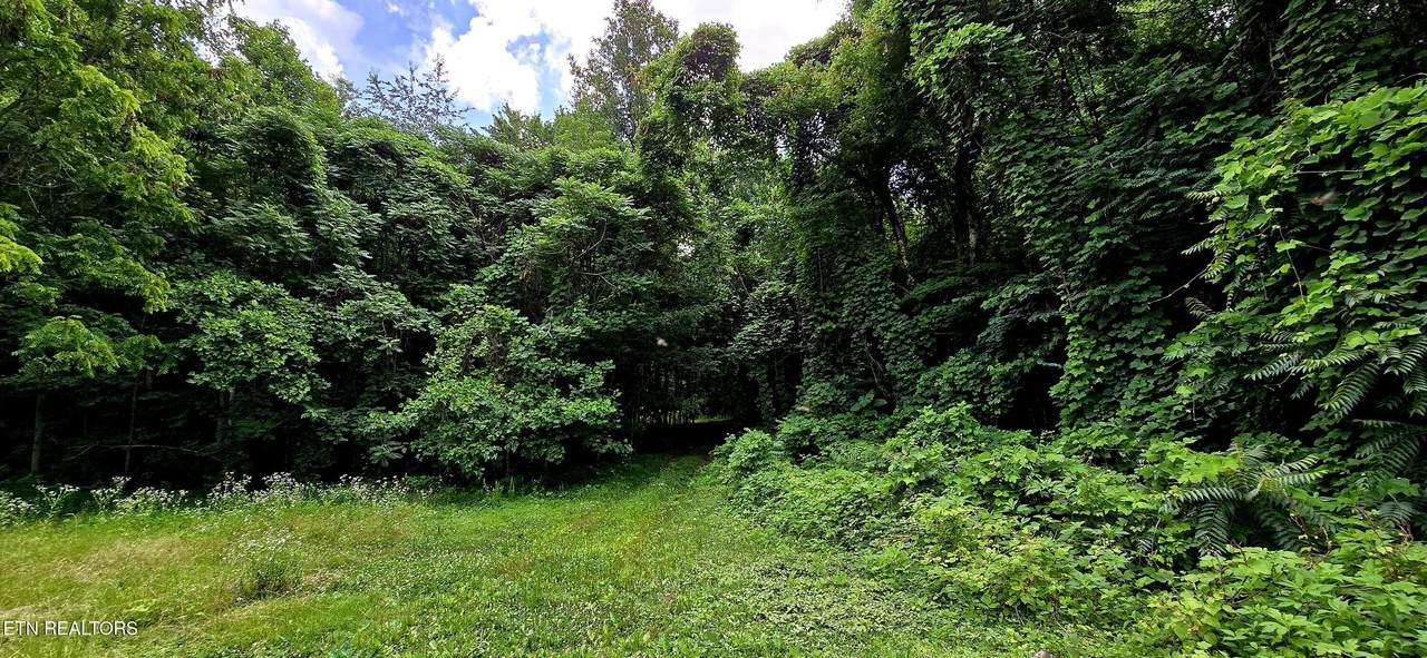 1580 Restful Way - Photo 1