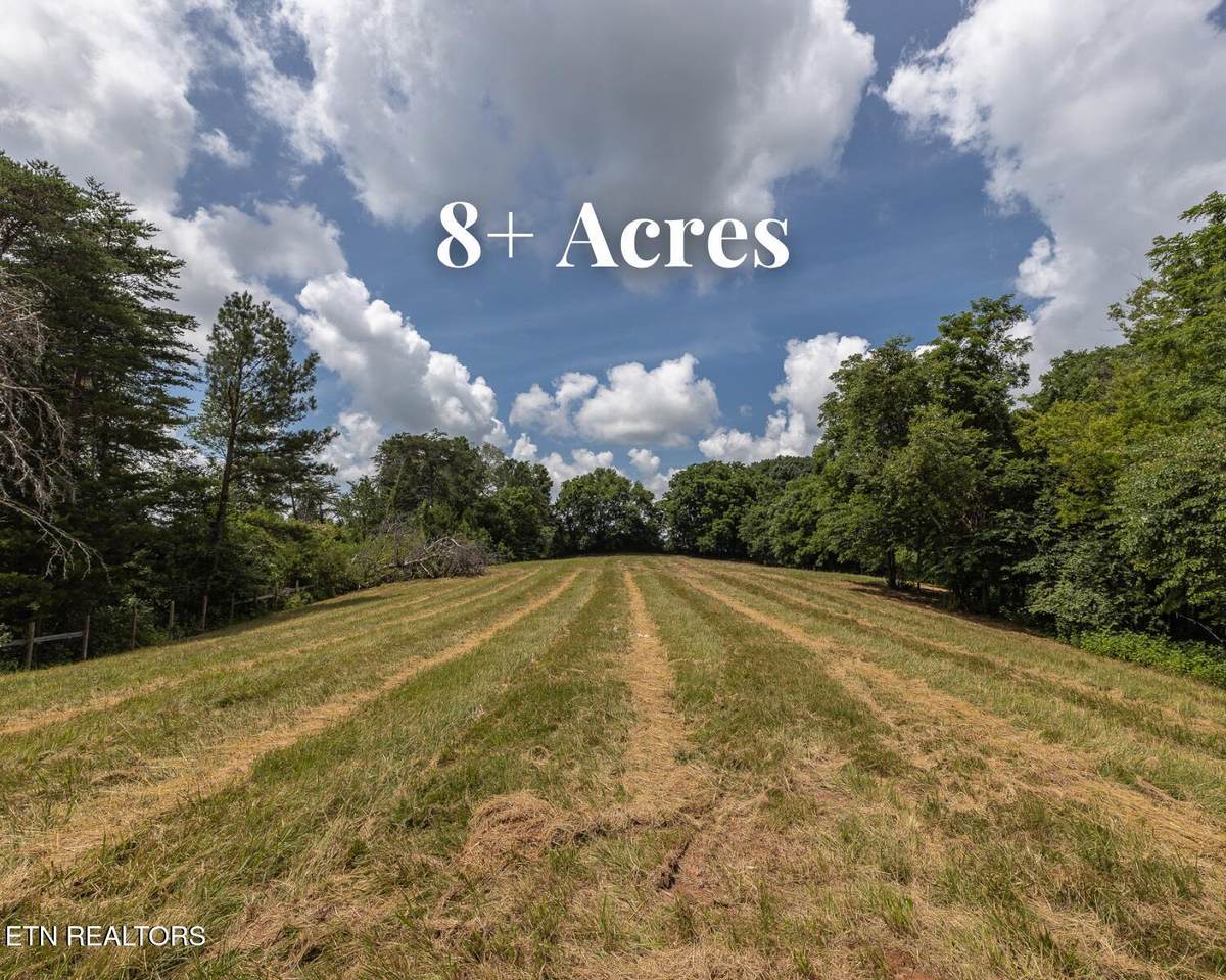  Marble Hill Rd (8+ Acres) - Photo 1