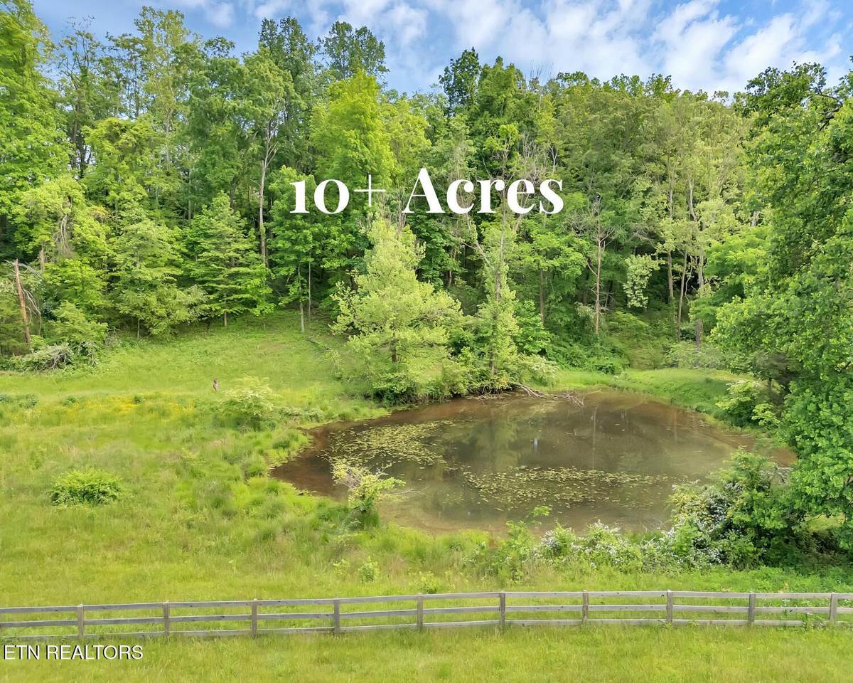  Marble Hill Rd (10+ Acres) - Photo 1