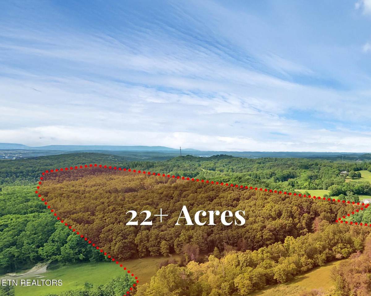  Marble Hill Rd (22+ Acres) - Photo 1