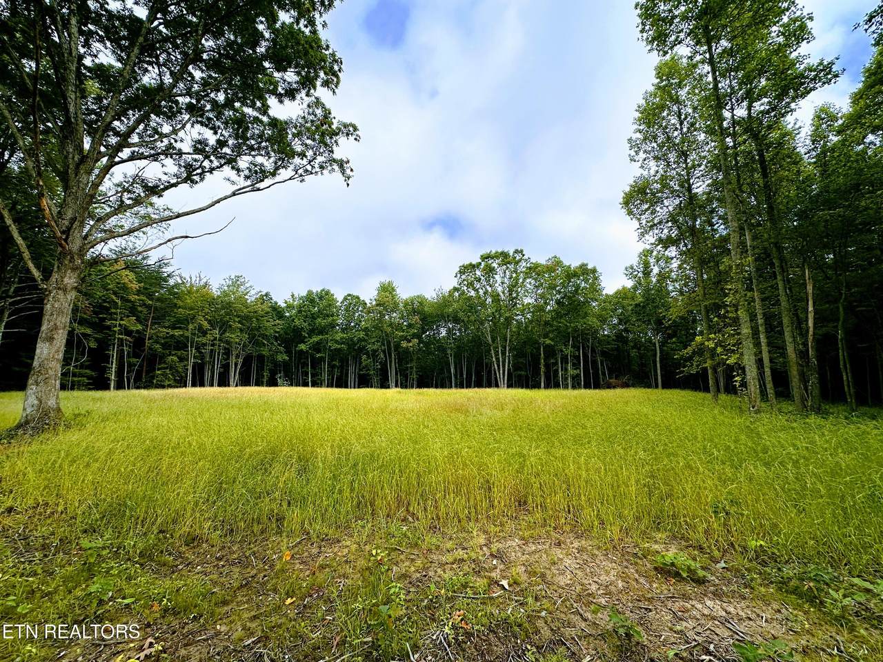 89.5 Ac Mose Beaty Rd - Photo 1