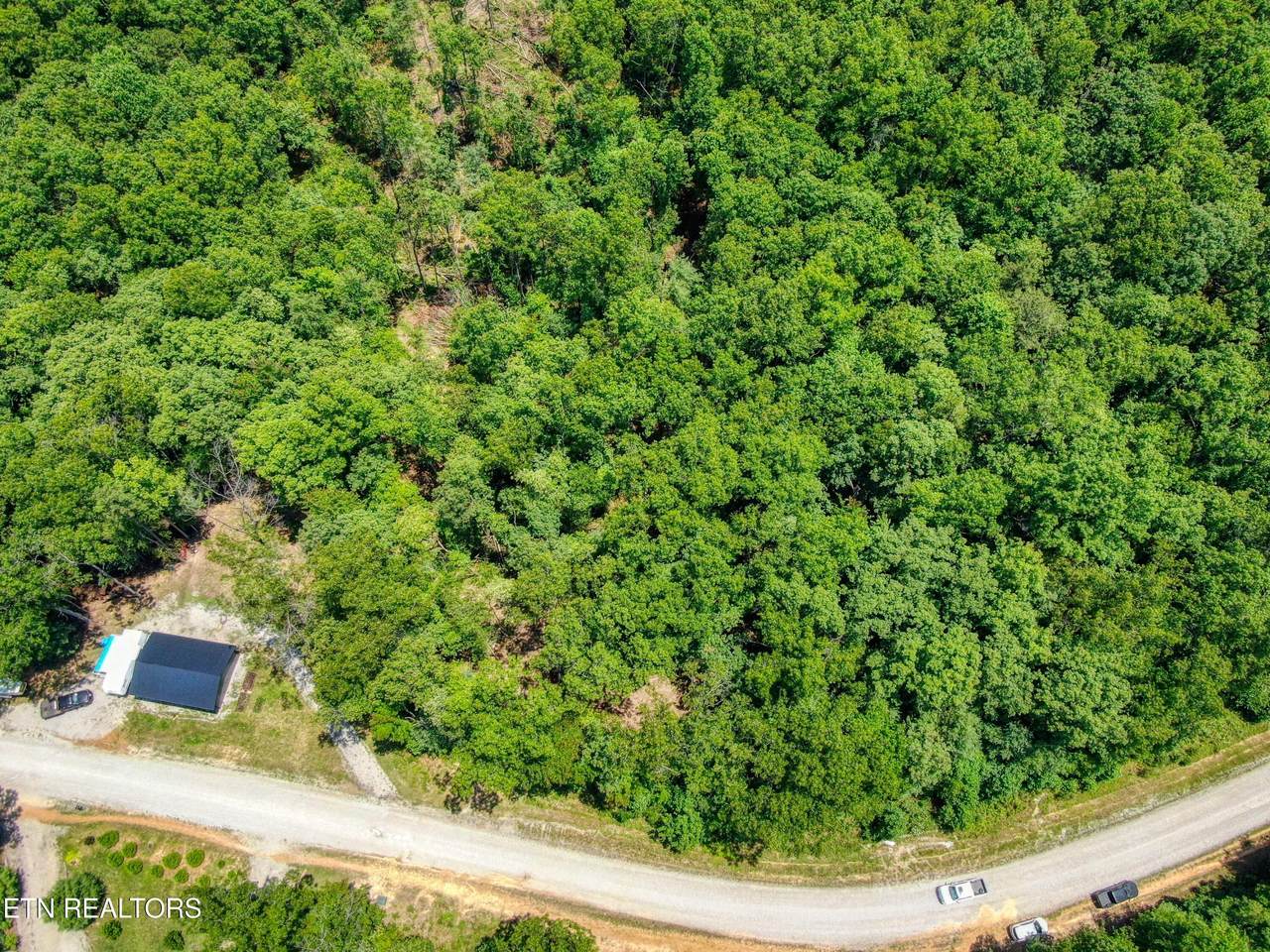  4.49 Acres Spruce Creek Drive - Photo 1