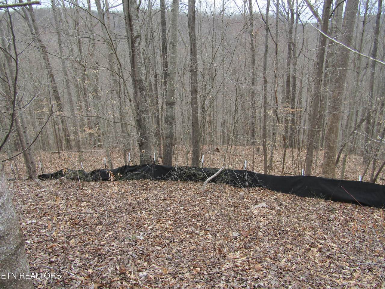 Lot 60 Bobcat Lane - Photo 1