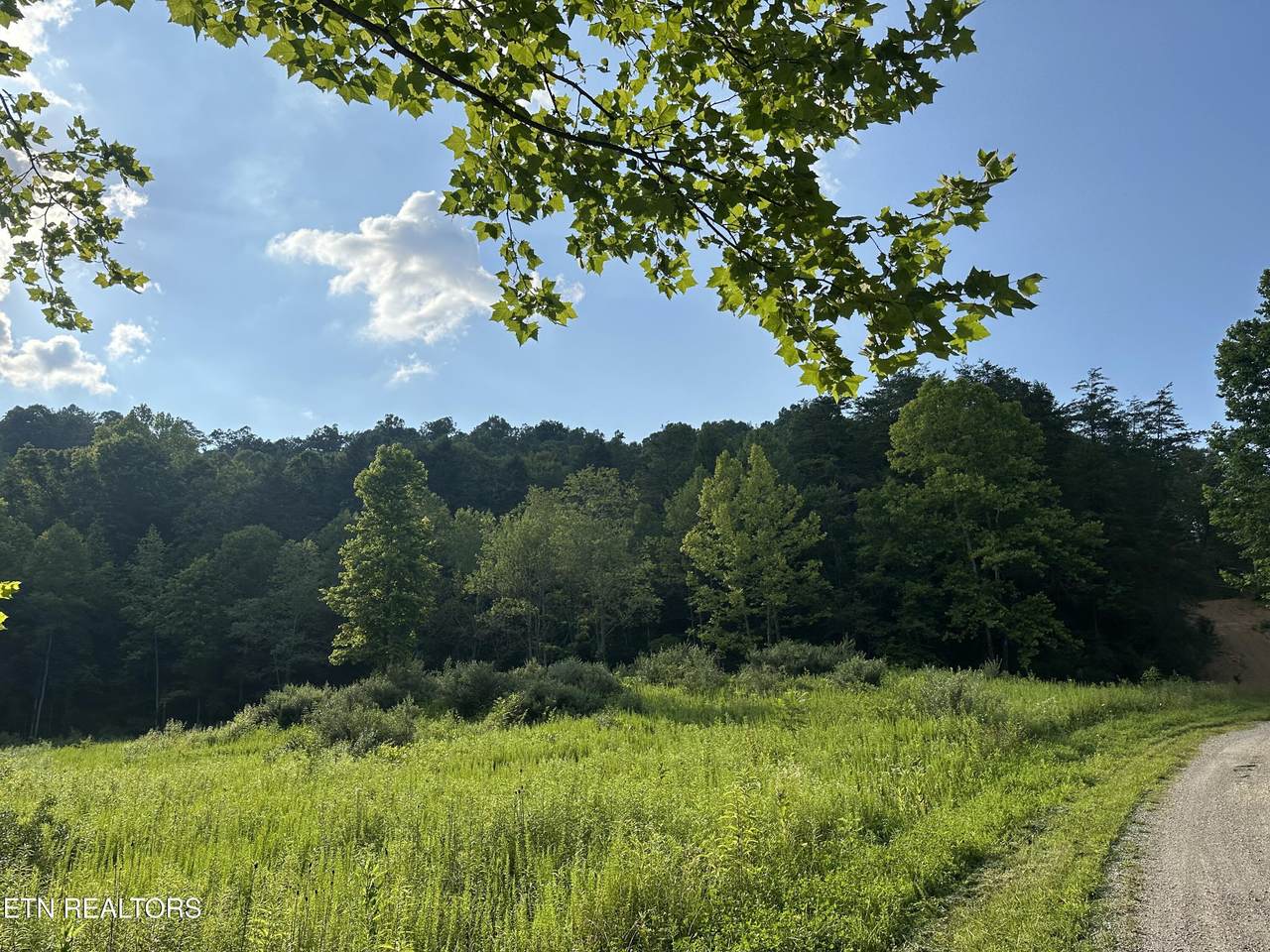  Doc Hollow Off Lowes Branch Rd - Photo 1