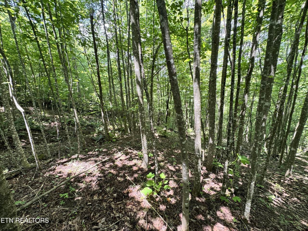  Key Ridge Lane - Photo 1